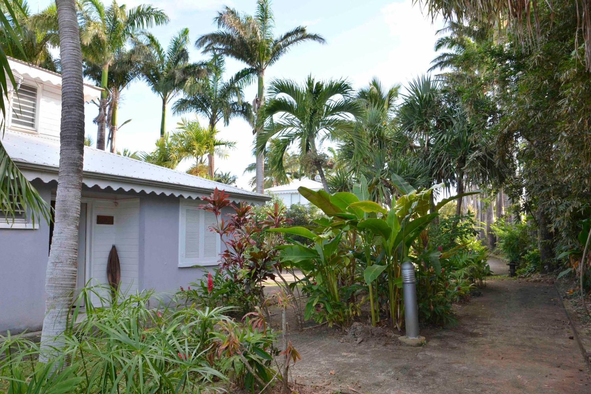 Villa Van Gogh Aux Aquarelles Sainte-Rose Ngoại thất bức ảnh